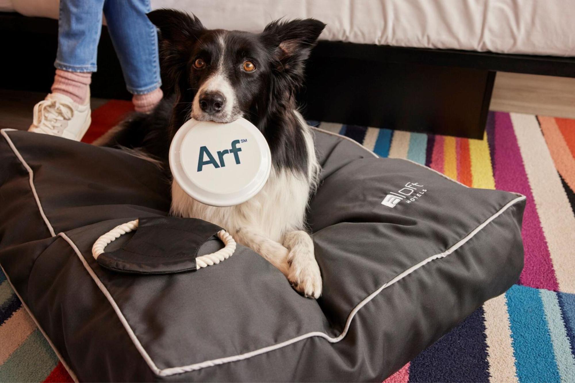 Aloft Dublin City Экстерьер фото